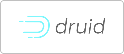 Apache Druid logo