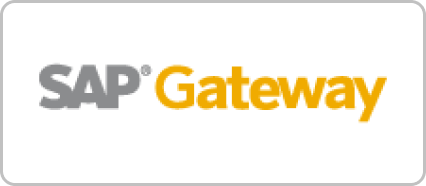 SAP Netweaver Gateway