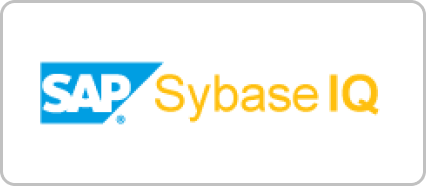 Sybase IQ